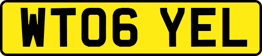 WT06YEL