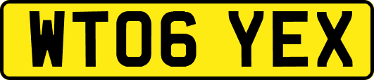 WT06YEX