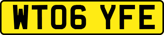 WT06YFE