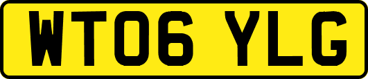 WT06YLG
