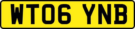 WT06YNB