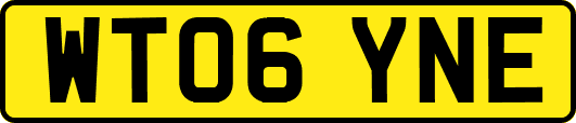 WT06YNE