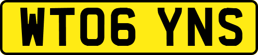 WT06YNS