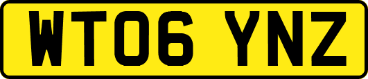 WT06YNZ