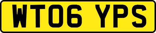 WT06YPS