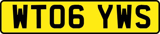 WT06YWS