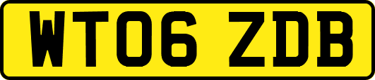 WT06ZDB