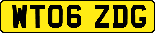 WT06ZDG