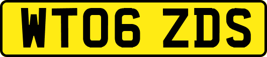 WT06ZDS