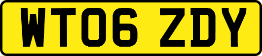 WT06ZDY