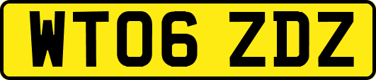 WT06ZDZ