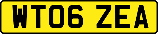 WT06ZEA