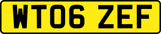 WT06ZEF