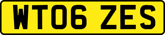 WT06ZES