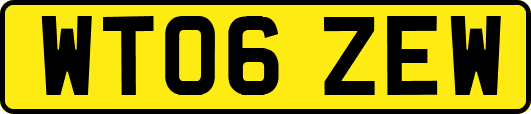 WT06ZEW