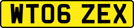 WT06ZEX