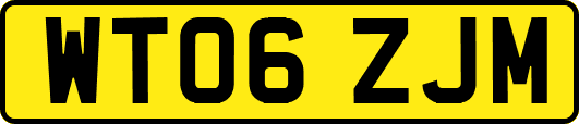 WT06ZJM