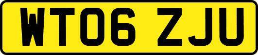 WT06ZJU