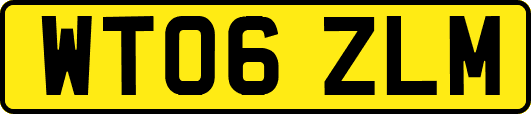 WT06ZLM