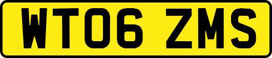 WT06ZMS