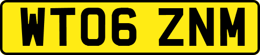 WT06ZNM