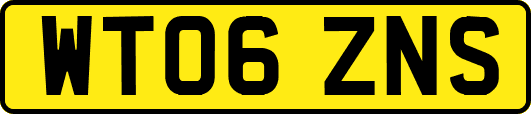 WT06ZNS