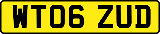 WT06ZUD