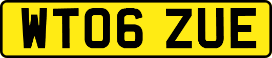 WT06ZUE