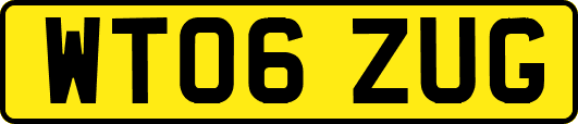 WT06ZUG