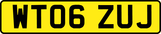 WT06ZUJ