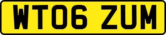 WT06ZUM