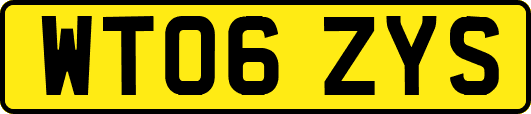 WT06ZYS