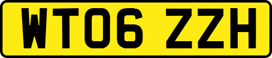 WT06ZZH