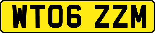 WT06ZZM
