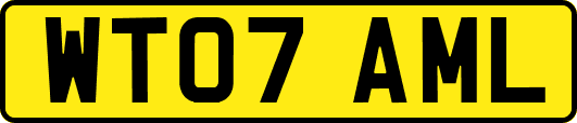 WT07AML