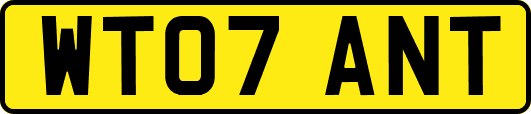 WT07ANT
