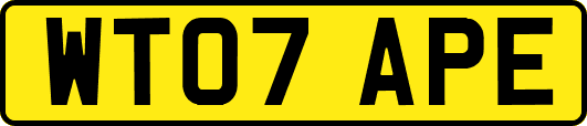 WT07APE