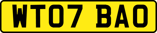 WT07BAO