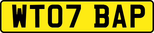 WT07BAP