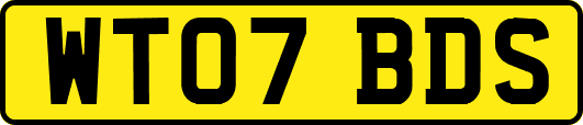 WT07BDS