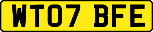 WT07BFE