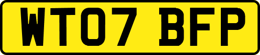WT07BFP