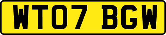 WT07BGW