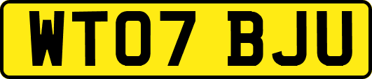 WT07BJU