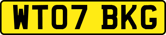 WT07BKG