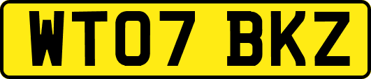 WT07BKZ