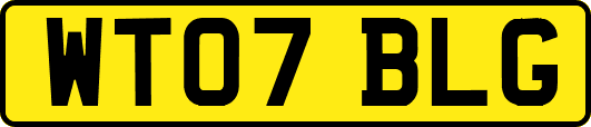 WT07BLG