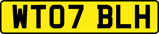 WT07BLH