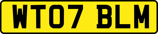 WT07BLM