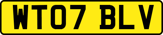 WT07BLV